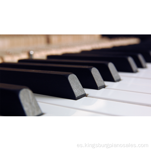 Piano personalizable para uso doméstico